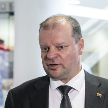 Seimas skubos tvarka spręs dėl Senelių dienos