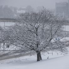 Meteorologė: stiprus snygis nepasiekė nei stichinių, nei katastrofinių rodiklių