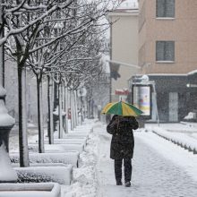 Meteorologė: stiprus snygis nepasiekė nei stichinių, nei katastrofinių rodiklių