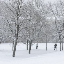 Meteorologė: stiprus snygis nepasiekė nei stichinių, nei katastrofinių rodiklių