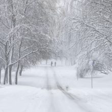 Meteorologė: stiprus snygis nepasiekė nei stichinių, nei katastrofinių rodiklių