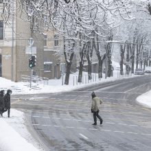 Meteorologė: stiprus snygis nepasiekė nei stichinių, nei katastrofinių rodiklių