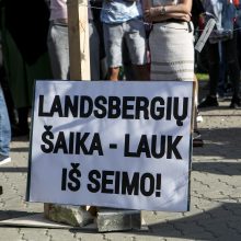 Protestas neapsiėjo be incidentų: sumuštas žmogus, sulaikyti du girti ir vienas su narkotikais