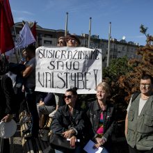 Protestas neapsiėjo be incidentų: sumuštas žmogus, sulaikyti du girti ir vienas su narkotikais