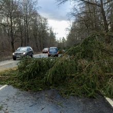 Įspėja dėl stipraus vėjo: siautės Rytų Lietuvoje ir pajūryje