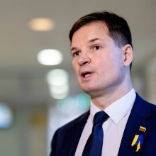 P. Saudargas: nusikalstama, kai verslas uždirba pelną penėdamas režimus
