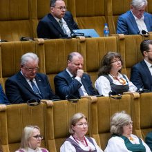 Seimo vadovė: komunizmo nusikaltimų įvertinimas turi būti Vakarų politinėje darbotvarkėje