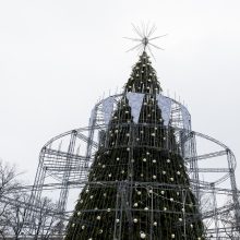 Šeštadienį Vilniuje – kalėdinės eglės įžiebimas: šiemet atrodys kaip tortas