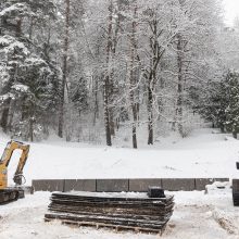 Vilniaus Antakalnio kapinėse nukeltos sovietinės skulptūros