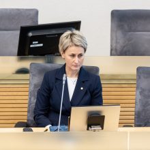 Premjerė apie tyrimą: Seimas negali atlikti Generalinės prokuratūros darbo