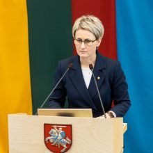 Premjerė apie tyrimą: Seimas negali atlikti Generalinės prokuratūros darbo