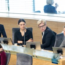 Premjerė apie tyrimą: Seimas negali atlikti Generalinės prokuratūros darbo