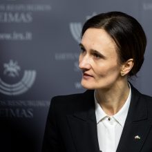 Premjerė apie tyrimą: Seimas negali atlikti Generalinės prokuratūros darbo