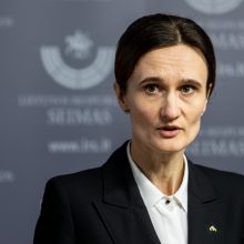 Premjerė apie tyrimą: Seimas negali atlikti Generalinės prokuratūros darbo