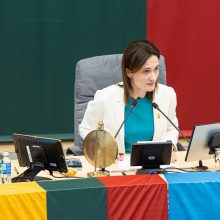 Seimas atmetė siūlymą: rugsėjį pirmalaikių rinkimų Lietuvoje nebus