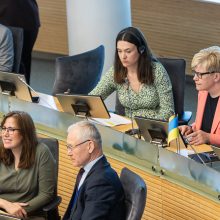 Seimas atmetė siūlymą: rugsėjį pirmalaikių rinkimų Lietuvoje nebus