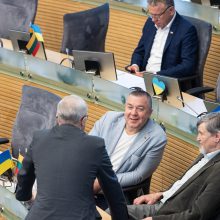 Seimas atmetė siūlymą: rugsėjį pirmalaikių rinkimų Lietuvoje nebus