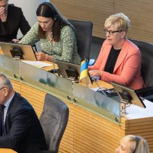 Seimas atmetė siūlymą: rugsėjį pirmalaikių rinkimų Lietuvoje nebus