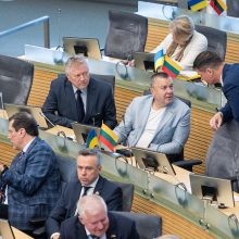 Seimas atmetė siūlymą: rugsėjį pirmalaikių rinkimų Lietuvoje nebus