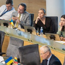 Seimas atmetė siūlymą: rugsėjį pirmalaikių rinkimų Lietuvoje nebus