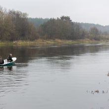 Artėja nerštas: įsigalioja draudimas žvejoti kiršlius ir sterkus