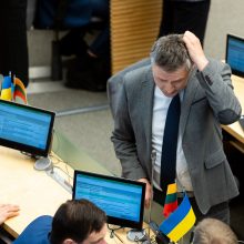 Ukrainos Rados vicepirmininkė Seime: šiandien kovojame už visos Europos laisvę