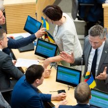 Ukrainos Rados vicepirmininkė Seime: šiandien kovojame už visos Europos laisvę
