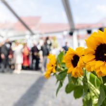 Vilniuje Ukrainos dienos „Vilniushyvanka“ pakvies į daugiau nei 130 renginių