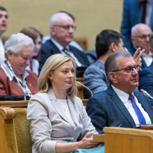 Seimo vadovė: dabar mėginti blokuoti parlamento darbą yra neatsakinga