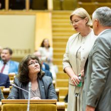 Seimo vadovė: dabar mėginti blokuoti parlamento darbą yra neatsakinga