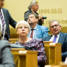 Premjerė ragina opoziciją arba dirbti savo darbą, arba reikšti nepasitikėjimą visa Vyriausybe