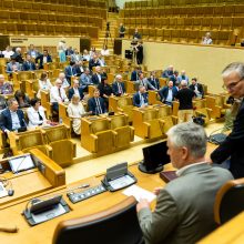 Seimo vadovė: dabar mėginti blokuoti parlamento darbą yra neatsakinga