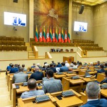 Seimo vadovė: dabar mėginti blokuoti parlamento darbą yra neatsakinga