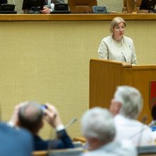 Seimo vadovė: dabar mėginti blokuoti parlamento darbą yra neatsakinga