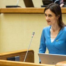 Seimo vadovė: dabar mėginti blokuoti parlamento darbą yra neatsakinga