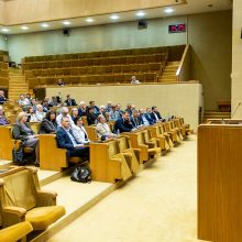 Seimo vadovė: dabar mėginti blokuoti parlamento darbą yra neatsakinga