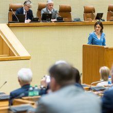 Seimo vadovė: dabar mėginti blokuoti parlamento darbą yra neatsakinga