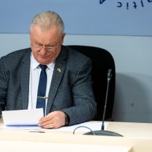 Frakcijų seniūnai renkasi pas Seimo pirmininkę aptarti situacijos dėl A. Stončaičio