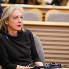 V. Zelenskis: nėra srities, kurioje Ukraina nejaustų Lietuvos paramos