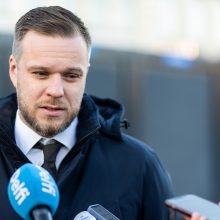 G. Landsbergis: vaizdas po pirmojo rinkimų turo – tikrai neblogas