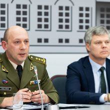 Įspėja: Rusija gali inicijuoti bylas prieš lietuvius dėl sovietinių paminklų nukėlimo