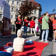 Raudonojo Kryžiaus savanoriai keliaus po Lietuvą: skleis svarbią žinią