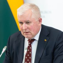 Valstybės gynimo taryba pritarė siūlymui Lietuvos kariuomenėje kurti diviziją