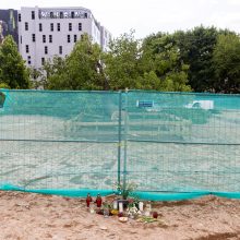 Šimtametį ąžuolą nukirtusi bendrovė atsiprašo: neįvertinome medžio svarbos visuomenei