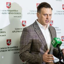 S. Gentvilas: už želdinių naikinimą – grėsmė negauti leidimo statybai ir didesnės baudos