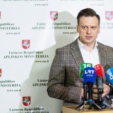 S. Gentvilas: už želdinių naikinimą – grėsmė negauti leidimo statybai ir didesnės baudos