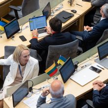 Seimas atmetė siūlymą: rugsėjį pirmalaikių rinkimų Lietuvoje nebus