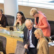 Seimas atmetė siūlymą: rugsėjį pirmalaikių rinkimų Lietuvoje nebus