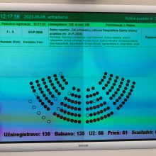 Seimui teikiamas siūlymas dėl pirmalaikių rinkimų: įvyks balsavimas ar žlugs?