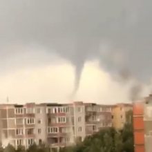 Per liūtį šiauliečiai persigando – ar čia tornadas?